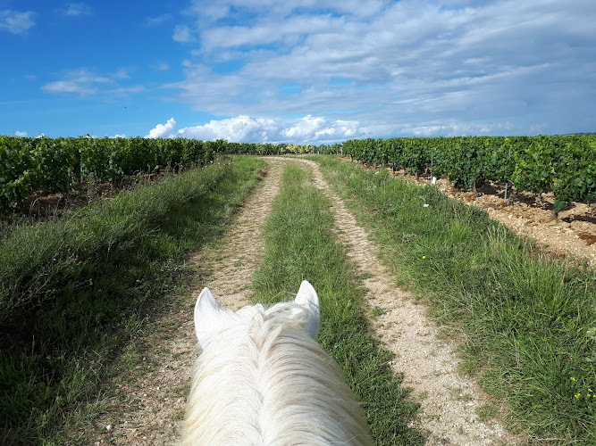 Balade à cheval