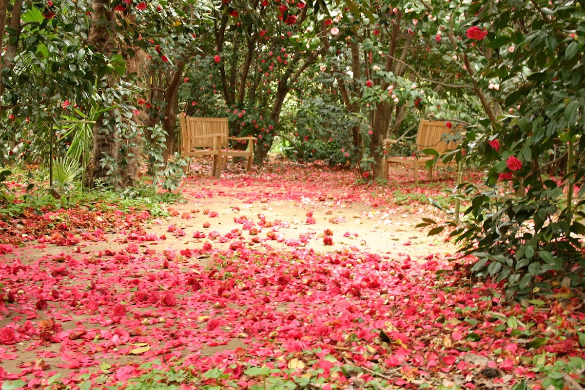 Parcs incontournables
