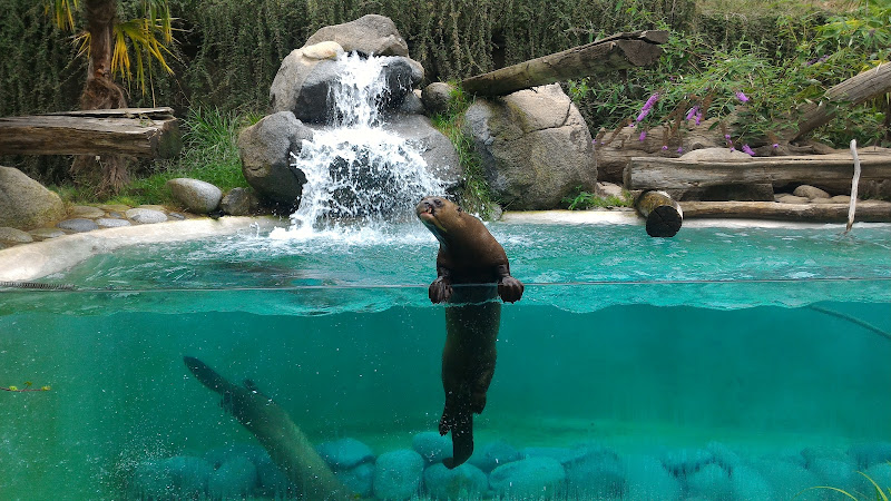 Visite d'un Zoo / Parc zoologique