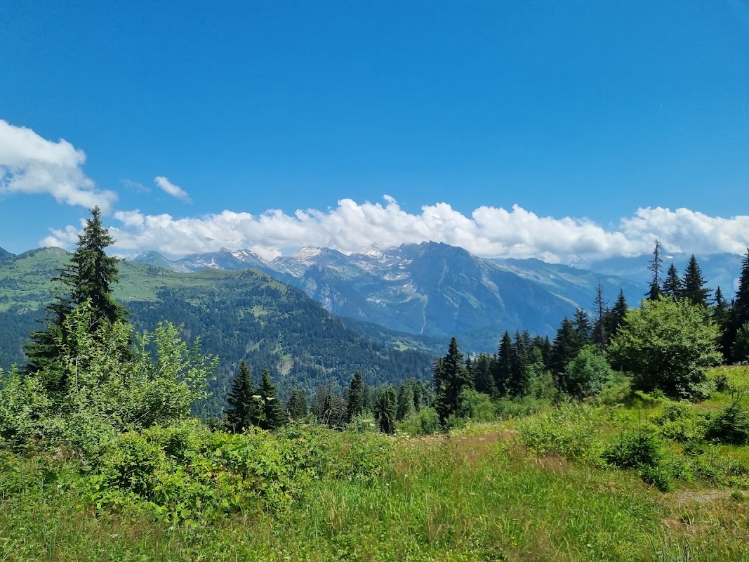 Alpes Équitation