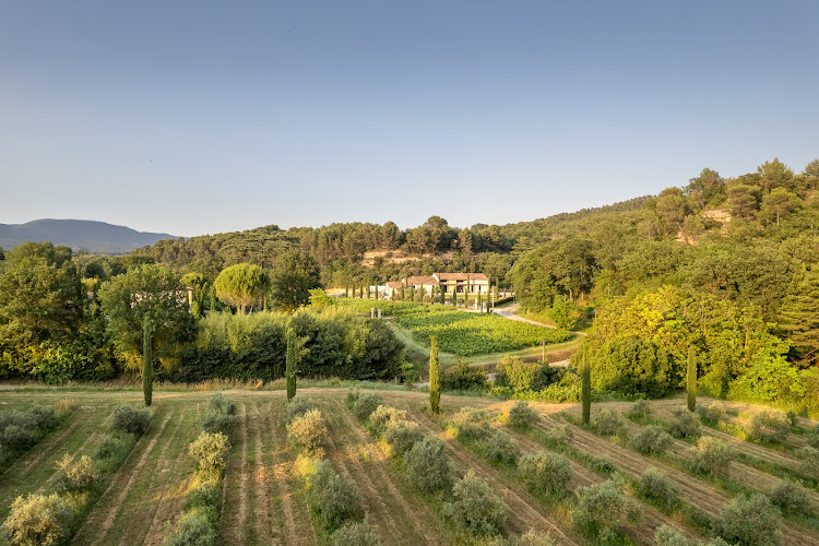 Moulin à huile d'olive & Domaine Bastide du Laval — Visite de fabrique gourmande & spécialités du terroir — Cadenet