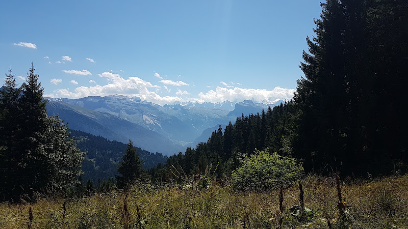 Tour du Plateau de Loex — Randonnée VTT — Les Gets