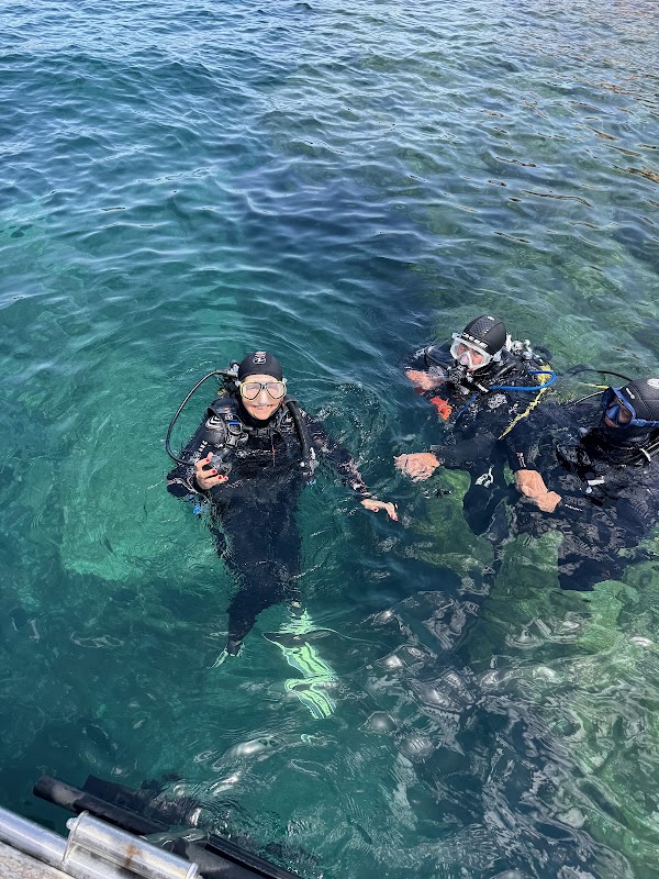 Bandol Plongée - exploration des Embiez à La Ciotat et Nitrox — Plongée sous-marine & exploration — Bandol