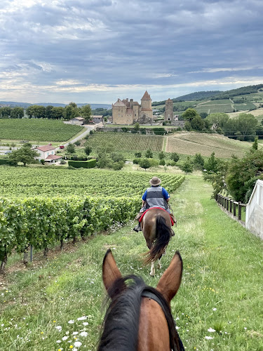 Ferme équestre de St-Laurent - Équitation- randonnées-formation — Balade à cheval — Saint-Laurent-en-Brionnais
