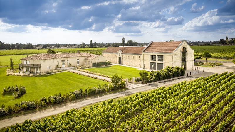 Cours de cuisine et accords vins au Château La Garde — Cours de Cuisine avec Chef Professionnel — Martillac