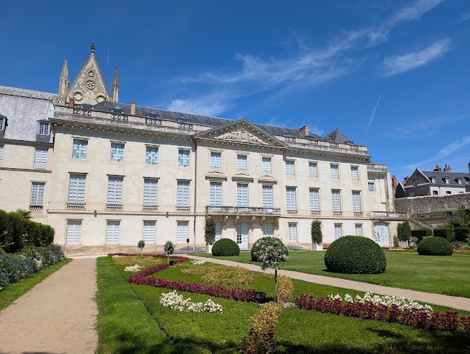 Musée des Beaux-Arts de Tours - Mantegna, Rembrandt, Fritz et jardin historique — Musées d'art — Tours