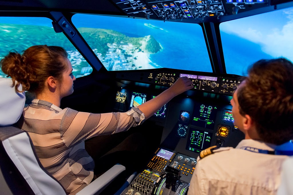 AviaSim Lyon - Simulateurs de vol — Simulateur de vol — Villeurbanne