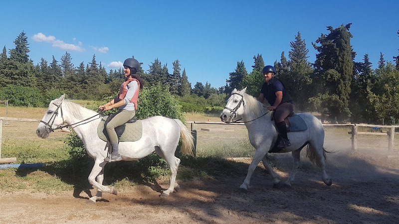 Haras de Lagnes — Balade à cheval — Lagnes