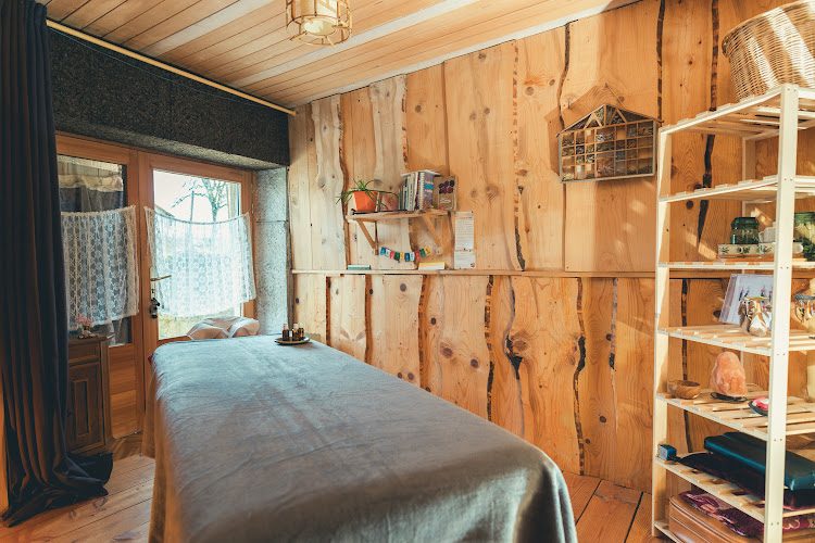 Corps et Plantes - cueillettes et cuisine sauvage dans le Jura — Songeson