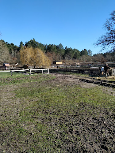 Centre Équestre Le Ranch des Lamberts — Balade à cheval — Moulis-en-Médoc