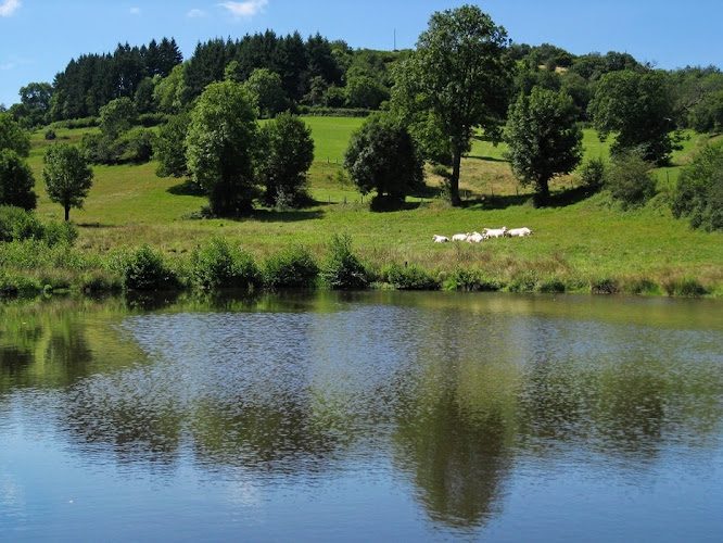 GR765 - de Cluny au Puy-en-Velay par le Beaujolais, le Forez et le Velay — Cluny