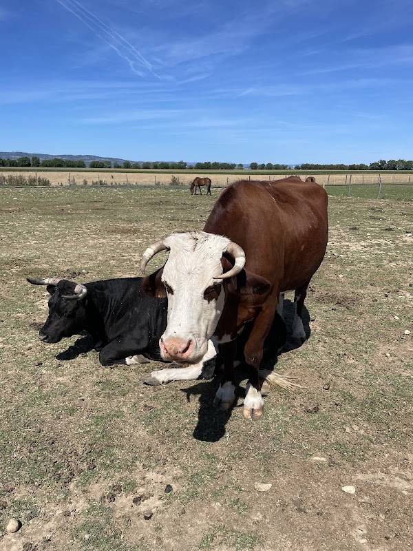 La ferme de Zoé