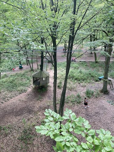 Parc Canopée — Course d'orientation — Ambleny