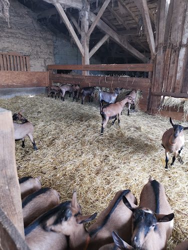 Ferme de la Thibauderie — chèvrerie, fromages fermiers et dégustation — Rencontre & dégustation chez le producteur — Condéon