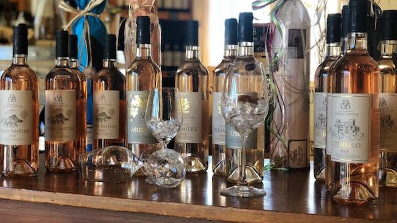Domaine Grande Bastide - Découverte des terroirs et vignobles & dégustations - Tourrettes