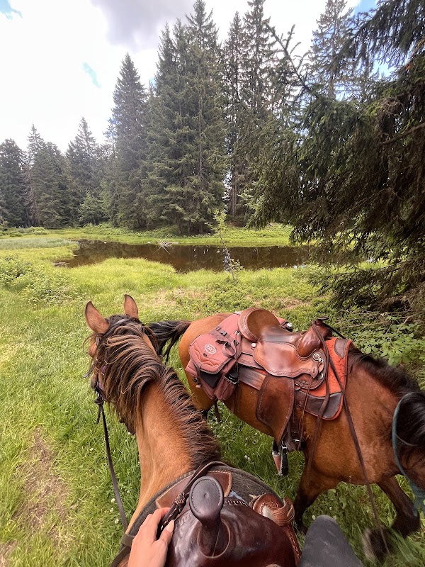 Alpes Équitation