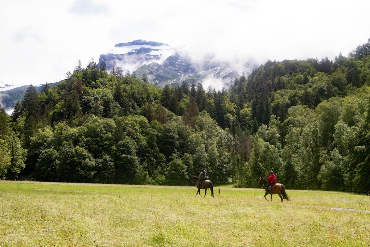 Alpes Équitation — Balade à cheval — Essert-Romand