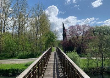 Balade guidée en vélo électrique dans le Marais poitevin – Cardinaud — Balade en vélo électrique — Magné