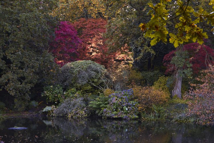 Les Jardins de Kerdalo — Parcs incontournables — Trédarzec