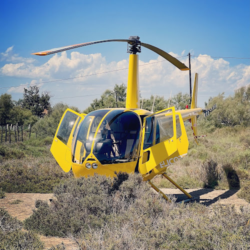 Hélicoptères De Camargue