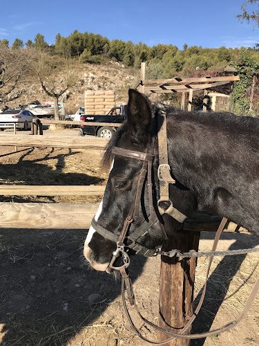 Ranch du Garlaban - promenades à cheval dans les collines d'Allauch - Balade à cheval - Allauch