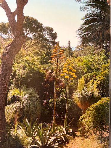 Le Plantier de Costebelle — Maisons de personnalités & demeures d'illustres — Hyères