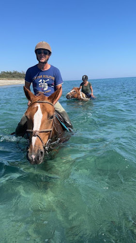 Les écuries de Campitello — Balade à cheval — Canale-di-Verde