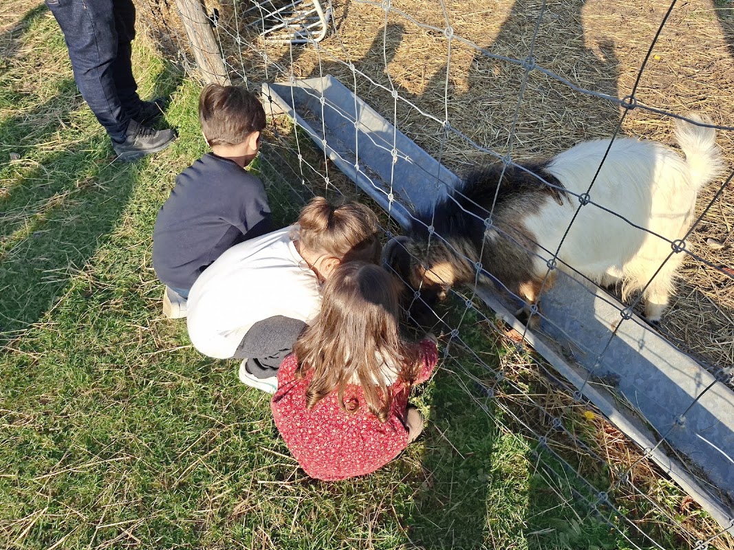 Ferme de Gally