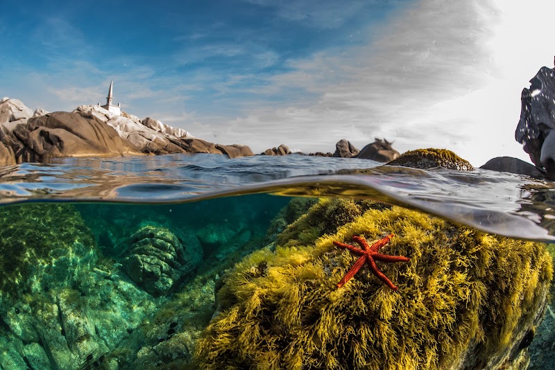 Bonifacio Plongée - matinée 2-tanks aux îles Lavezzi — Plongée sous-marine & exploration — Bonifacio