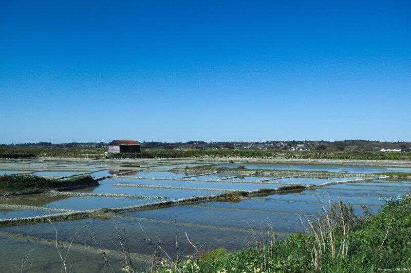 Terre de Sel — du marais à la fleur de sel avec les paludiers de Guérande — Visite de fabrique gourmande & spécialités du terroir — Guérande