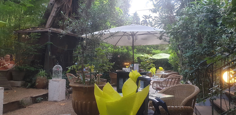Wi Lounge Wi Jungle — Restaurants insolites — Nice