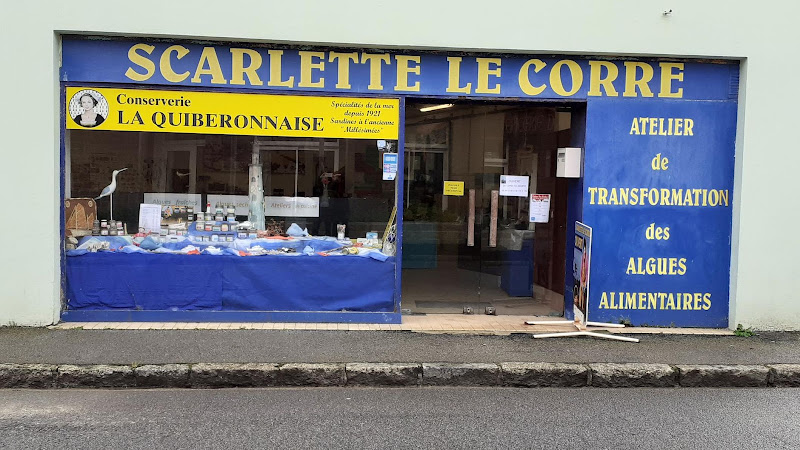 Scarlette Le Corre — estran, algues et cuisine au Guilvinec — Cueillette & Agritourisme — Guilvinec