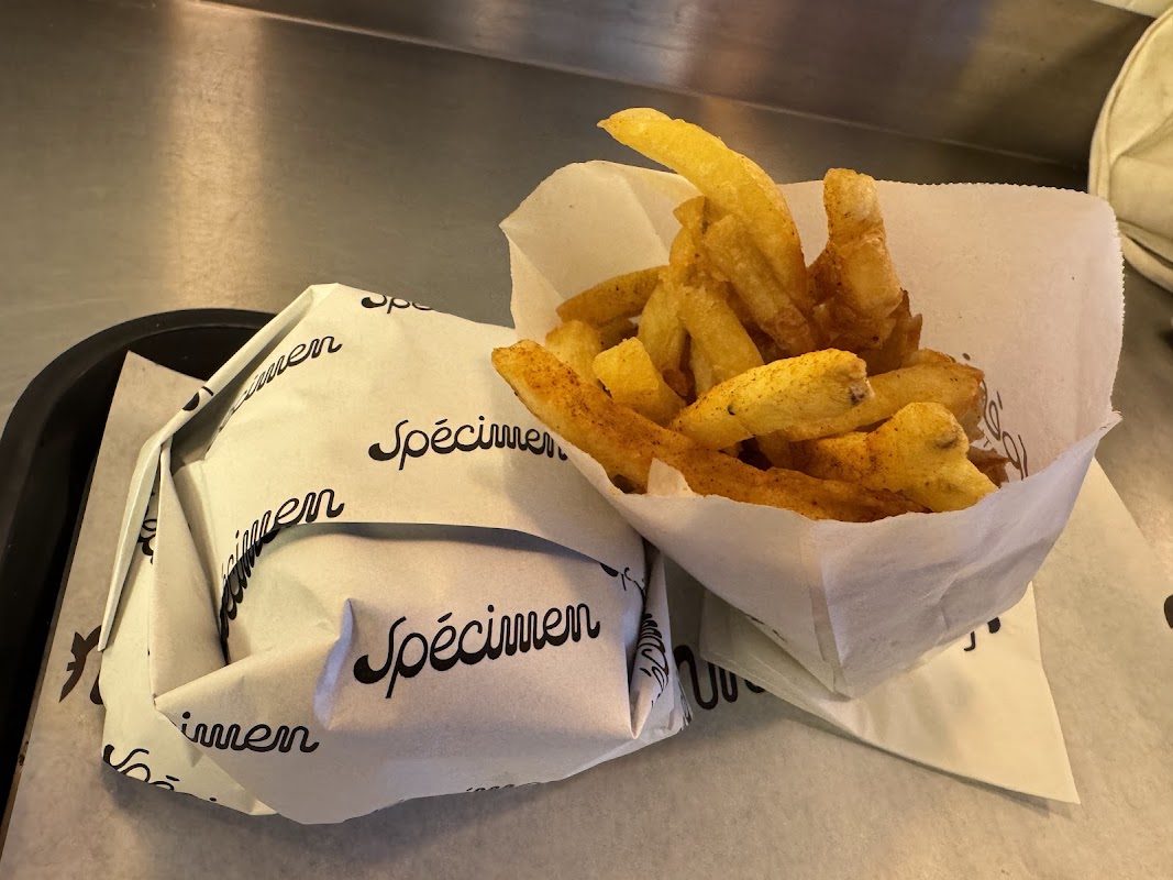 Spécimen Burger Saint Germain