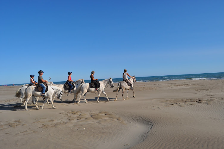 Ecurie des Dunes - promenade à cheval — Balade à cheval — Le Grau-du-Roi