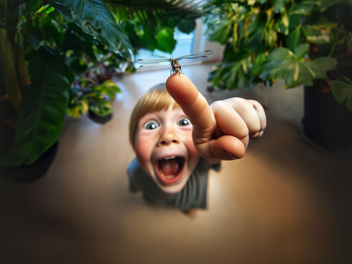 Micropolis, la Cité des insectes — Musées d'histoire naturelle — Saint-Léons