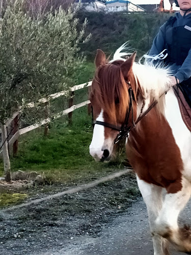 Association Loisirs Equestres en Région Toulousaine — Balade à cheval — Montrabé