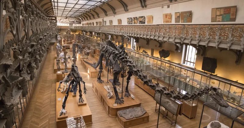 Galerie de Paléontologie et d’Anatomie comparée — Musées d'histoire naturelle — Paris