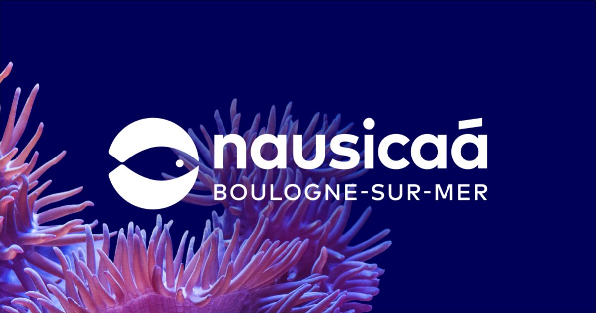Nausicaa Centre National De La Mer — Visiter un Aquarium — Boulogne-sur-Mer