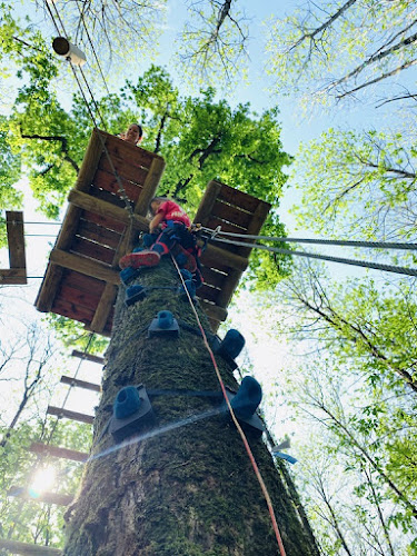PARC AVENTURE 79 CHANTEMERLE