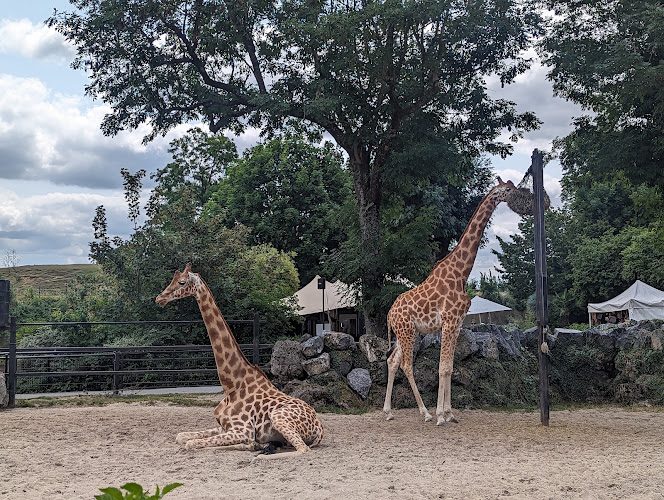 Zoo de Maubeuge — Visite d'un Zoo / Parc zoologique — Maubeuge