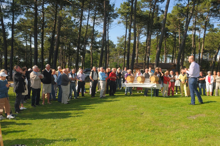 Ugolf Lacanau la Méjanne - Gironde (33) — Parcours de Golf — Lacanau