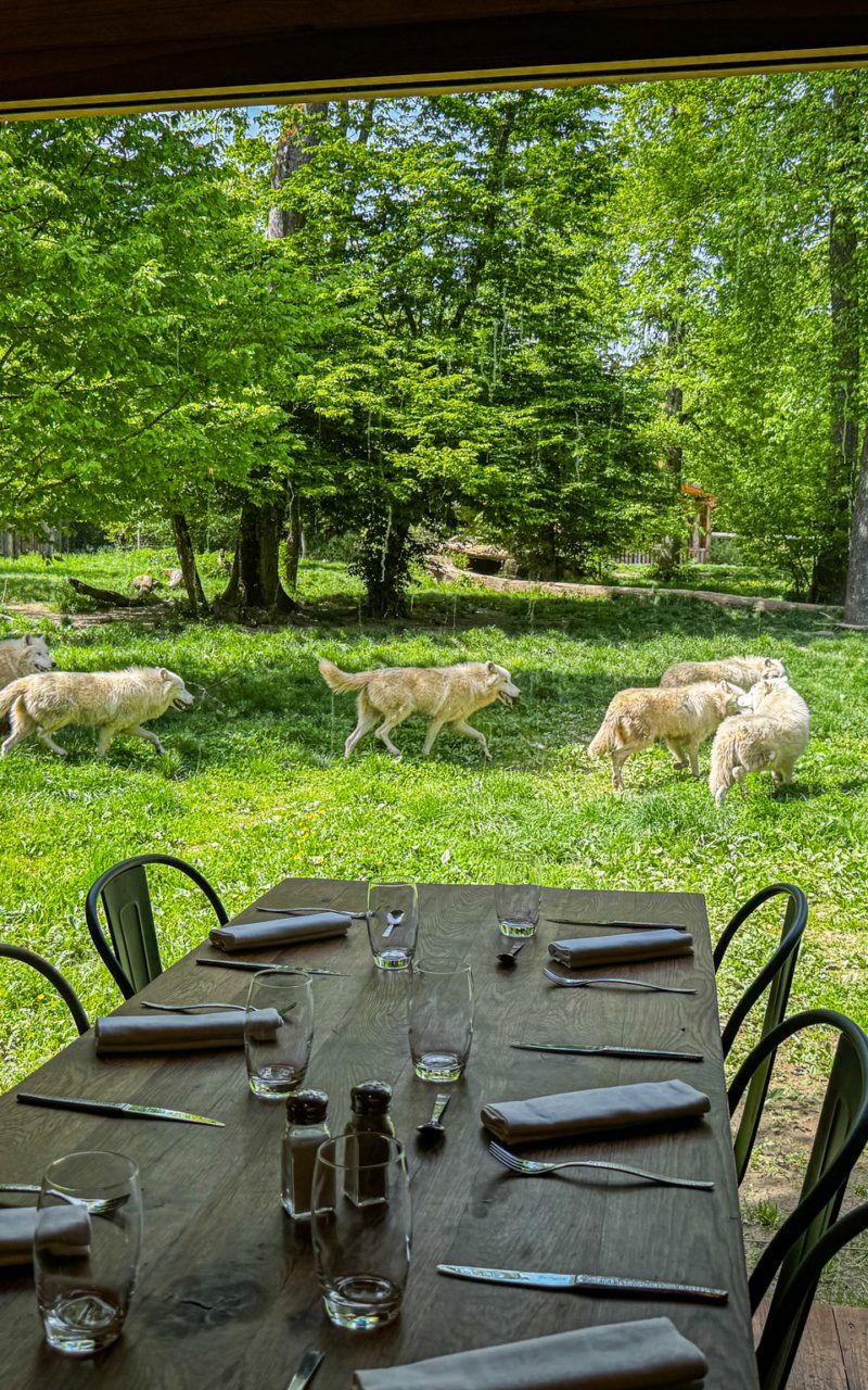 Parc Animalier de Sainte-Croix