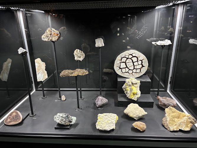 Maison des Minéraux – géologie de Crozon, roches et jardin minéral — Musées d'histoire naturelle — Crozon