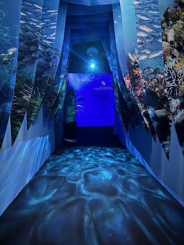 Science Experiences Paris