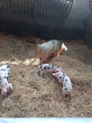 La ferme des Cara-Meuh ! — Vains