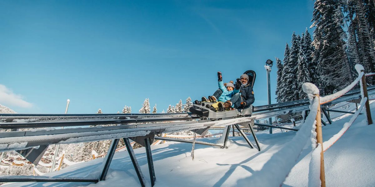 Luge 4 Saisons — Les Gets