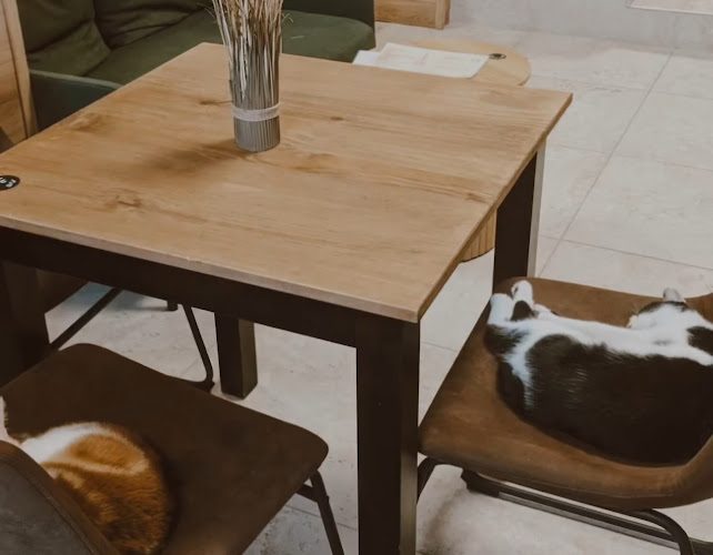 Le Chalet — Cafés à Animaux (chats, chiens...) — La Roche-sur-Yon