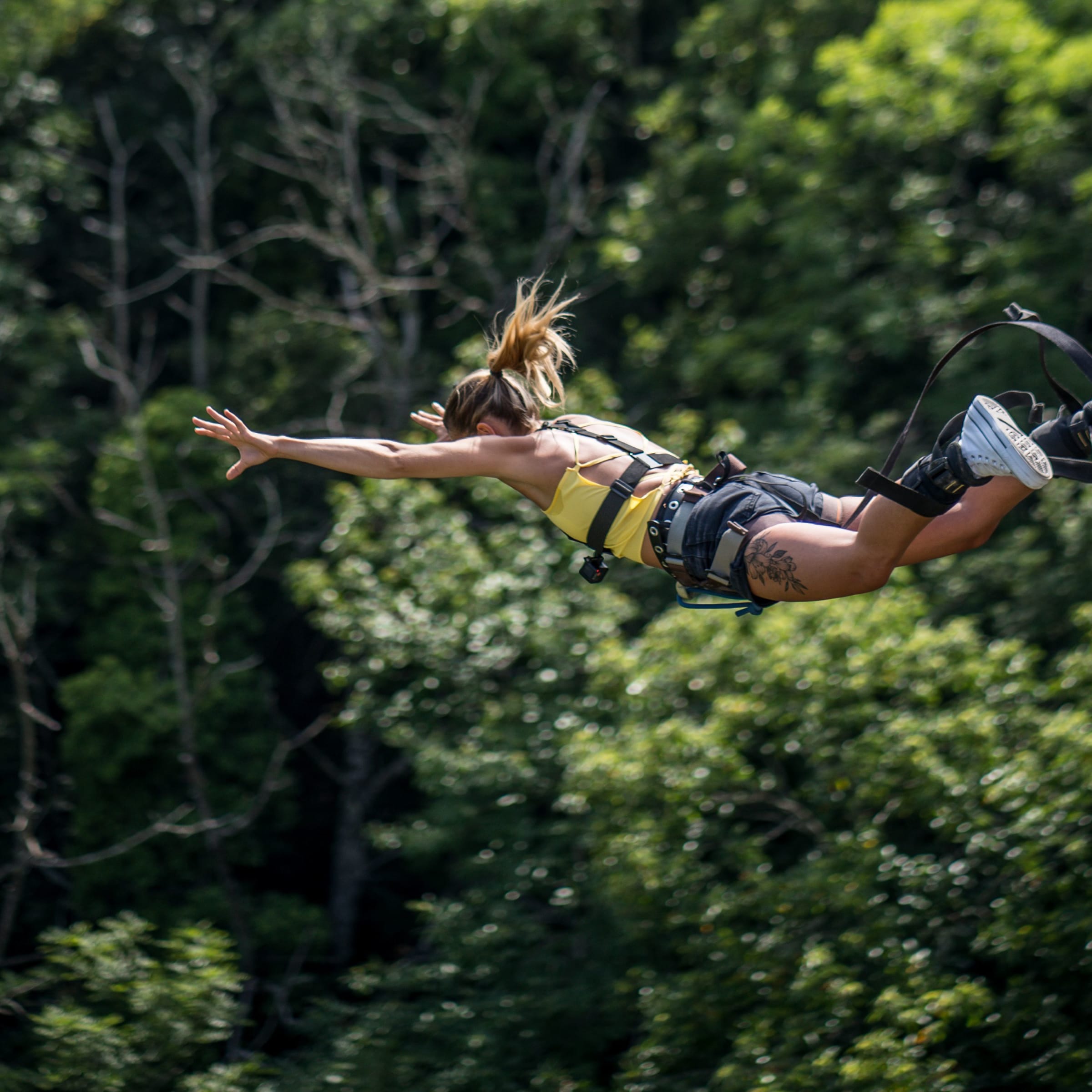 Saut à l'élastique depuis le Viaduc d'Alzon