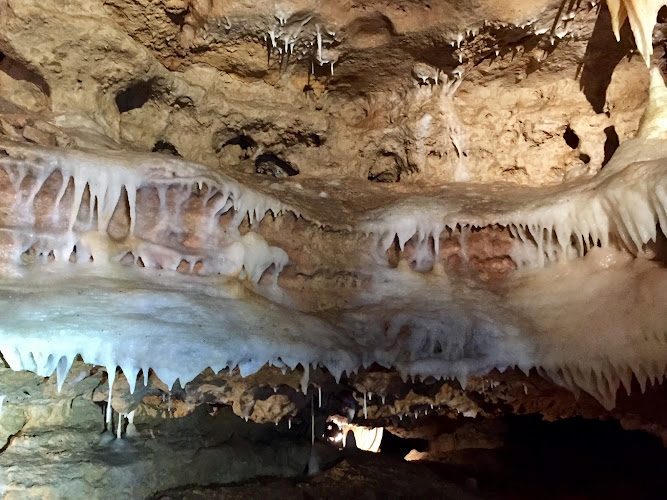 Grottes de la Norée - 45 min dans les seules cavités naturelles ouvertes de la Vienne — Visite de grottes & gouffres — Biard