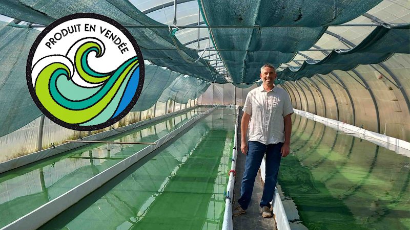 Spiruline des Olonnes — Rencontre & dégustation chez le producteur — Saint-Mathurin